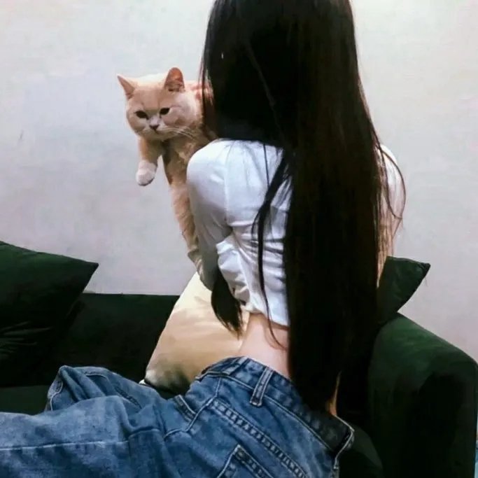 黑色丛林