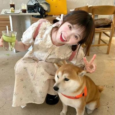 来自美国的莫里斯